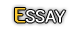 essay
